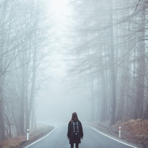 Person walks alone on foggy forest road, surrounded by tall trees, creating a serene and mysterious atmosphere.