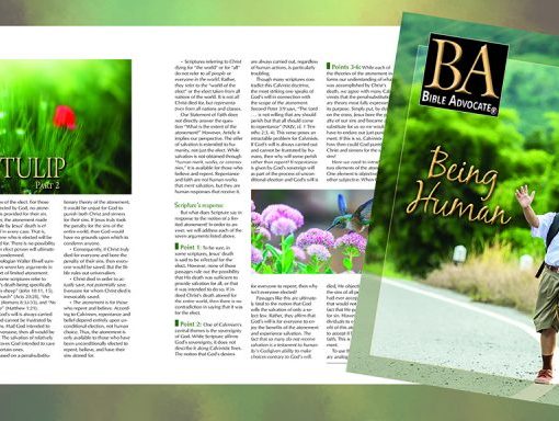 Magazine spread featuring an article titled Talking TULIP and cover titled Being Human showcasing a joyful child running.