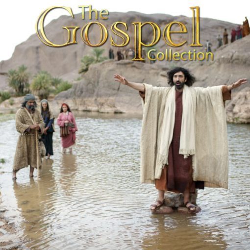 Biblical scene with a man in robes in water, surrounded by followers, from The Gospel Collection.