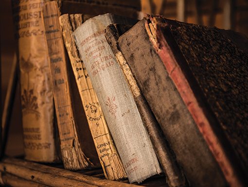 Row of vintage hardcover books on a wooden shelf, conveying a nostalgic literary ambiance.