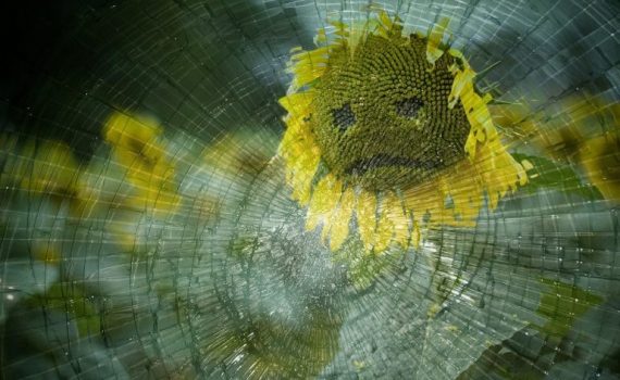 Sad-faced sunflower seen through cracked glass, blending nature's beauty with emotional expression.