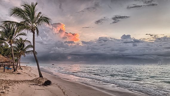 Tropical beach at sunset with palm trees and vibrant clouds over the ocean.
