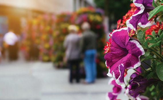 Blurred people walking past vibrant purple and white flowers on city street; colorful urban floral display.