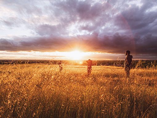 People enjoying a sunset in a golden field under a dramatic cloudy sky.