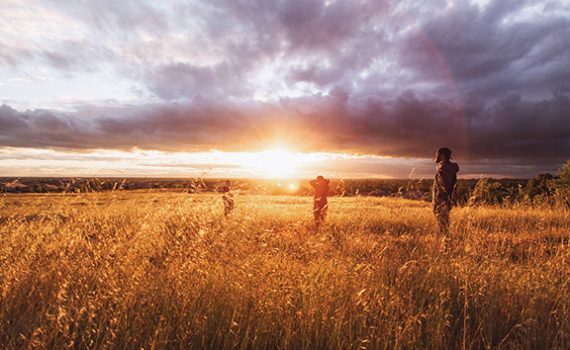 People enjoying a sunset in a golden field under a dramatic cloudy sky.