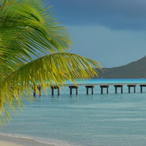 Tropical beach scene with palm tree, turquoise ocean, pier, and distant mountain under a cloudy sky.