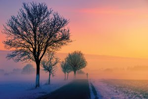 Winter sunrise landscape with trees and mist along a country road. Vibrant sky, serene and peaceful atmosphere.