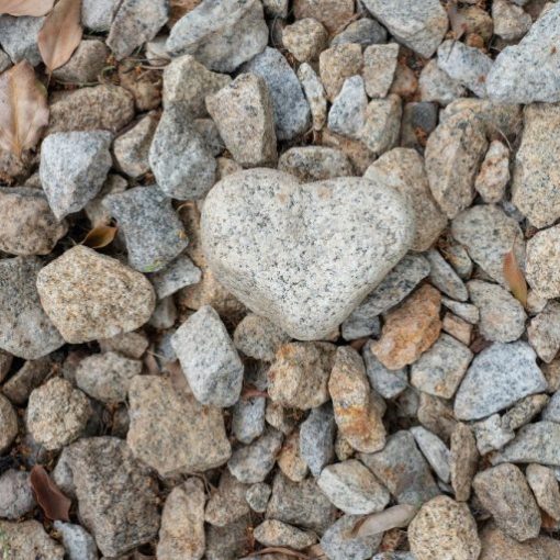 Heart-shaped stone among various rocks, symbolizing love and nature.