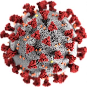 Illustration of a coronavirus particle with red spike proteins and gray viral body, representing COVID-19 structure.