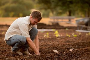 Person gardening outdoors, planting seeds in a prepared soil bed, surrounded by greenery and natural light.
